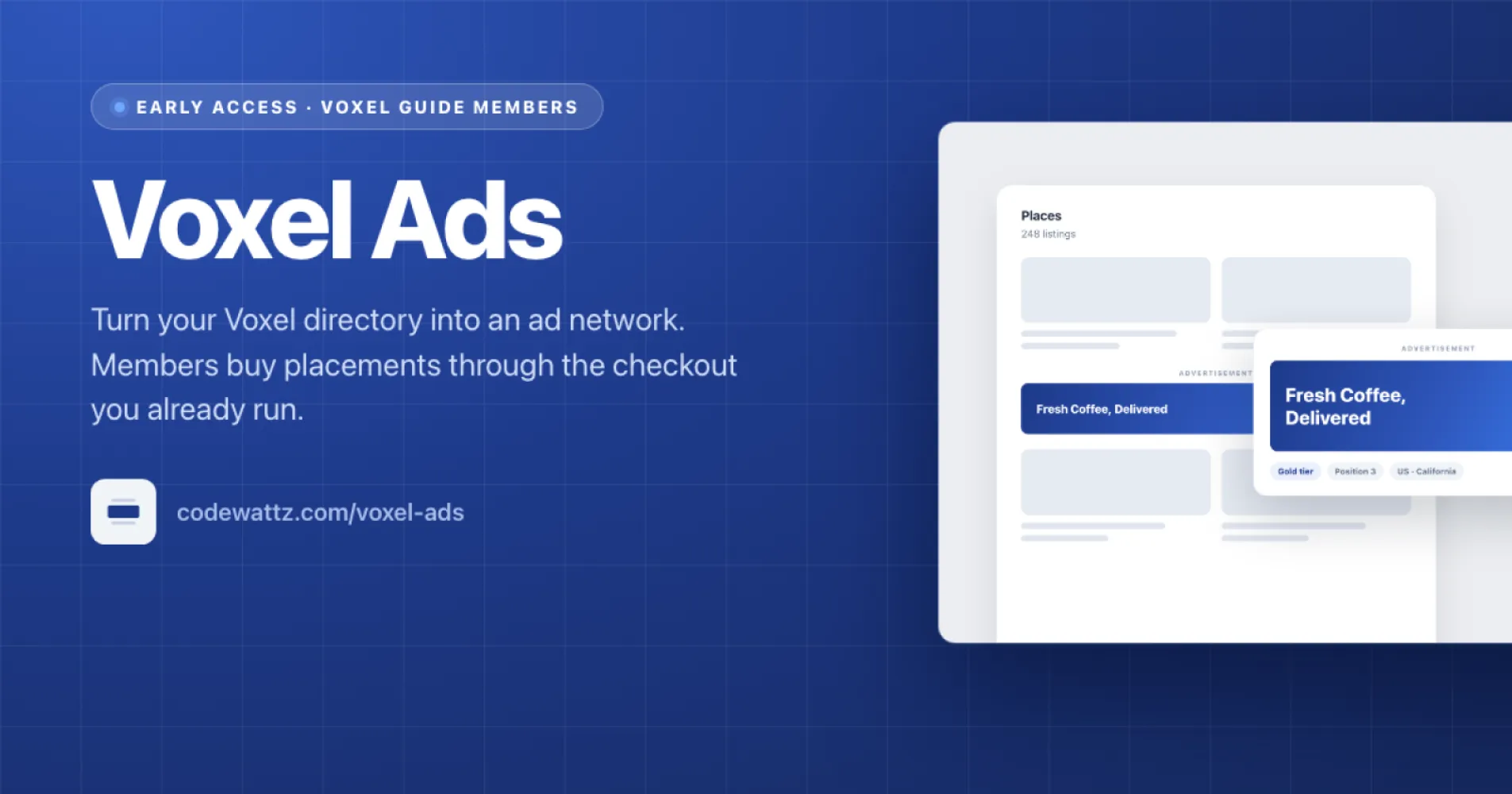 Voxel Ads